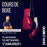 Cours de boxe I